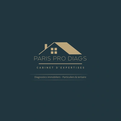 Logo Paris Pro Diags